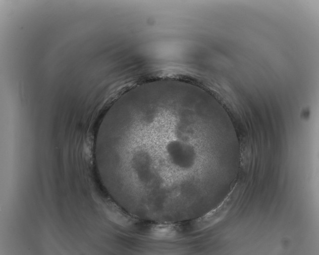 X0000094350175200711091500