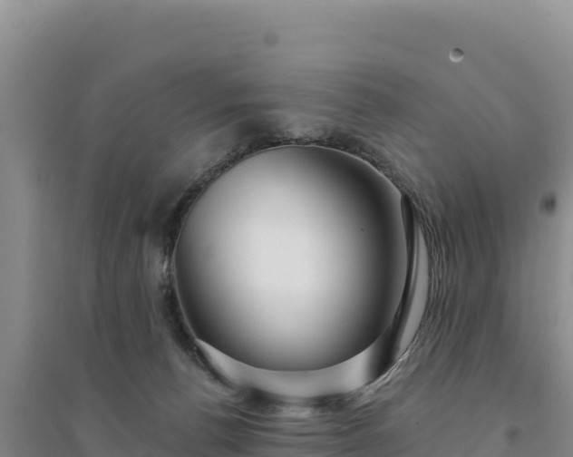 X0000094350176200711091500