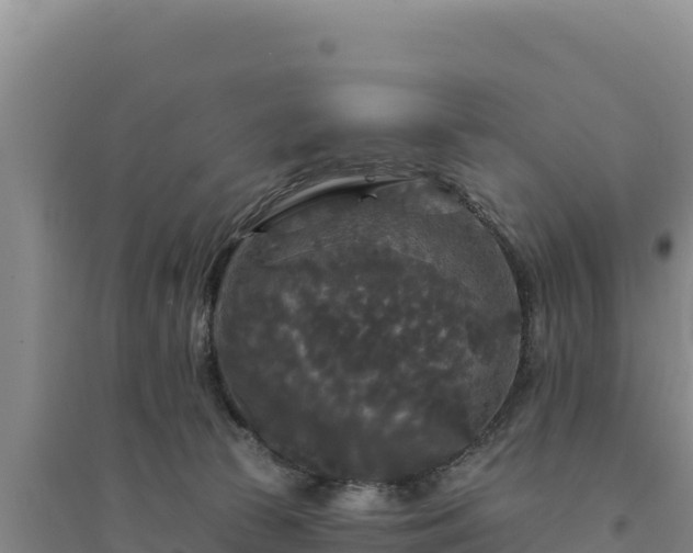 X0000094350177200711091500