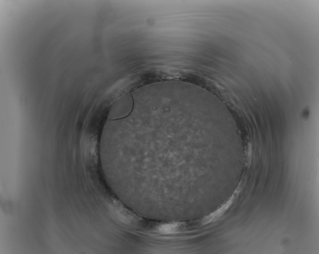 X0000094350178200711091500