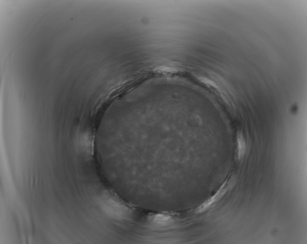 X0000094350180200711091500