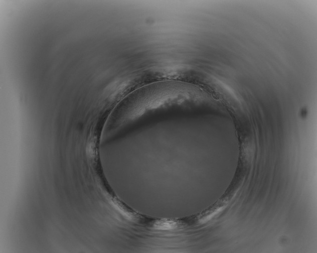 X0000094350181200711091500