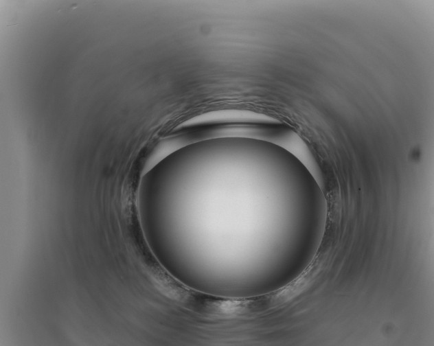 X0000094350184200711091500