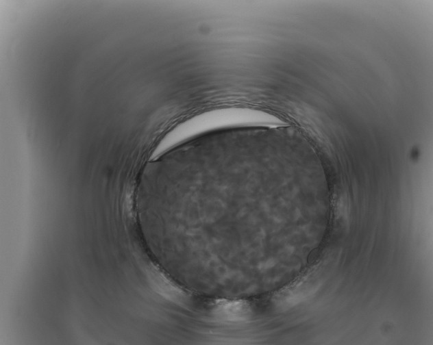 X0000094350185200711091501