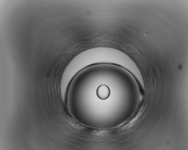 X0000094350186200711091501