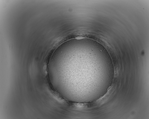 X0000094350187200711091501