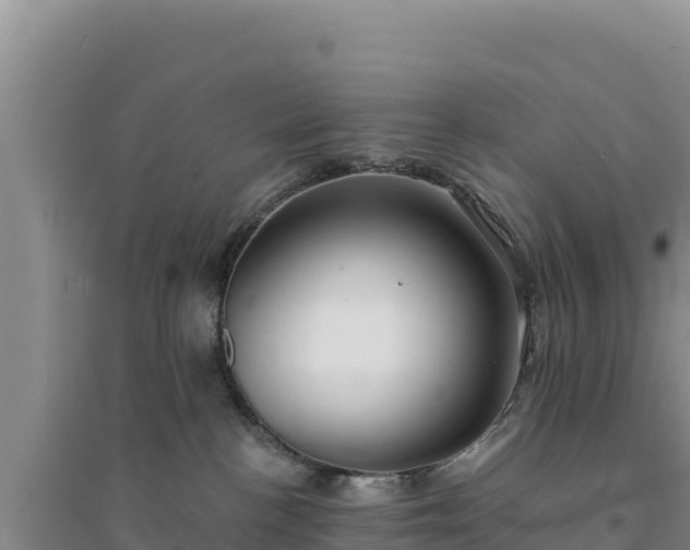 X0000094350188200711091501