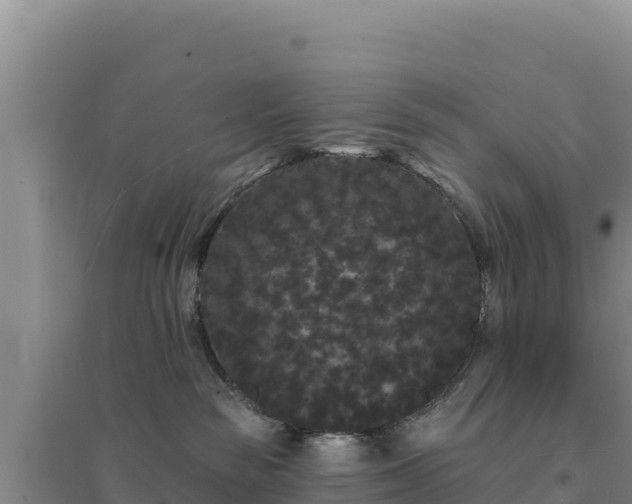 X0000094350189200711091501