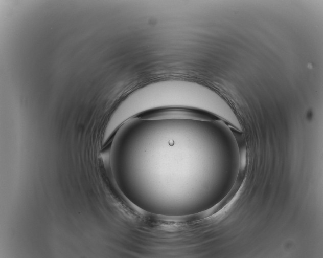 X0000094350190200711091501