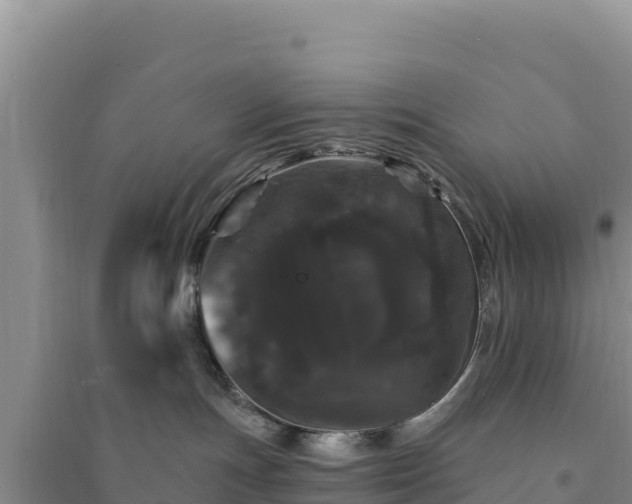 X0000094350191200711091501