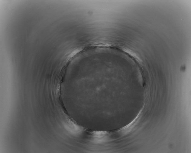 X0000094350192200711091501