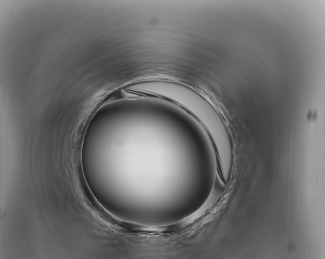 X0000094350193200711091500