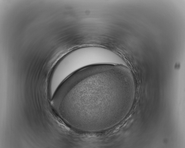 X0000094350194200711091500