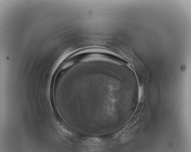 X0000094350195200711091500