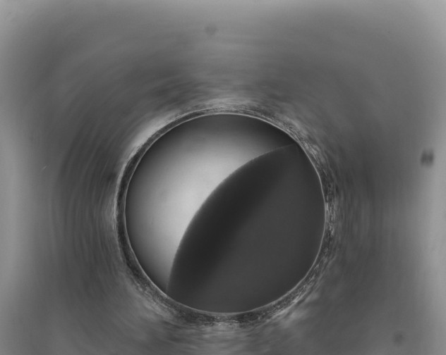 X0000094350196200711091500