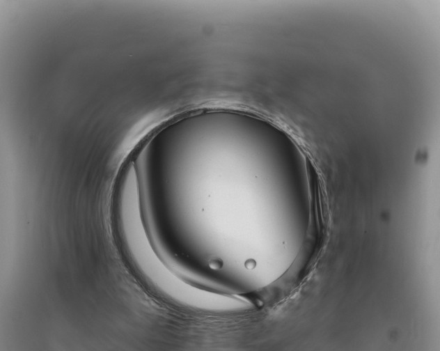 X0000094350199200711091500