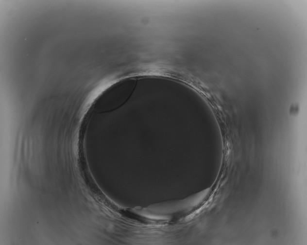 X0000094350200200711091500