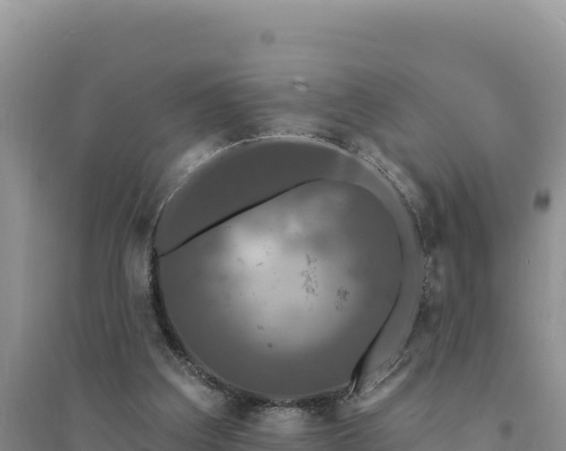 X0000094350203200711091500