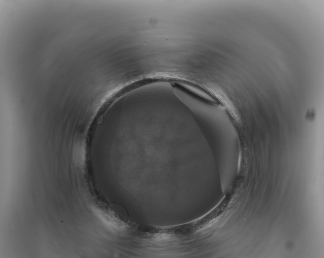 X0000094350204200711091500