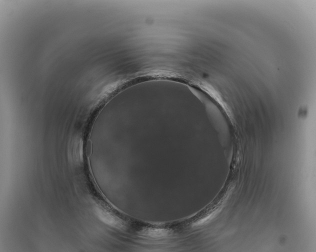 X0000094350205200711091500