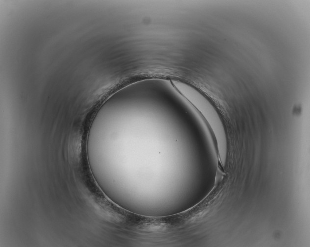 X0000094350206200711091500