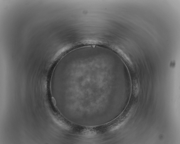 X0000094350207200711091500