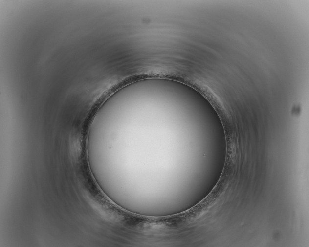 X0000094350208200711091500