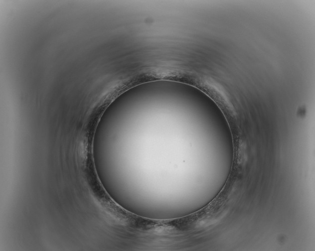 X0000094350210200711091500