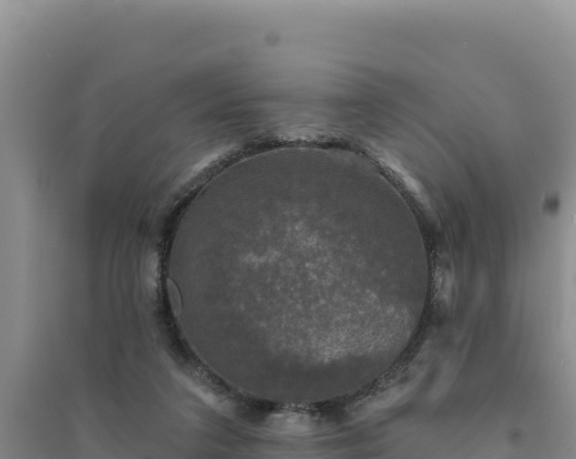 X0000094350211200711091500