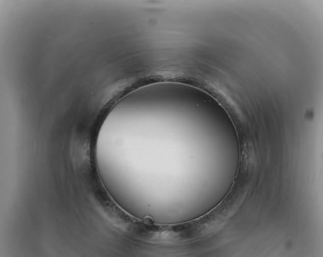 X0000094350212200711091500