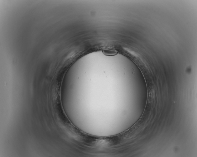 X0000094350218200711091500