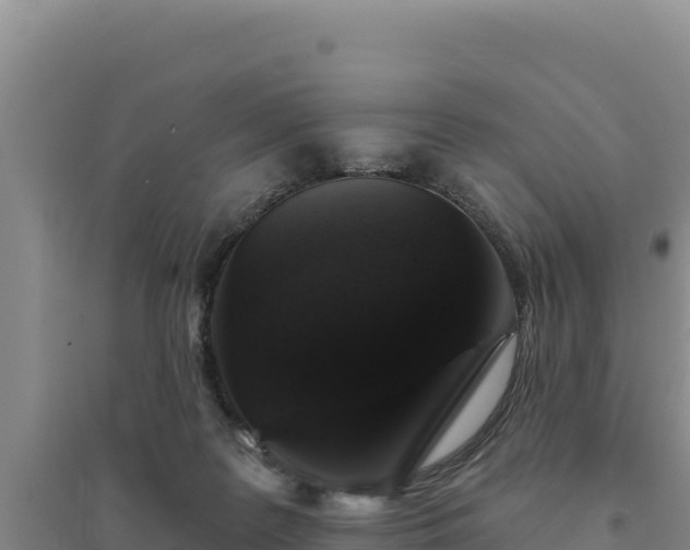 X0000094350219200711091500