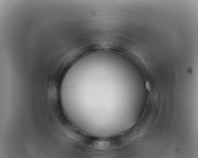 X0000094350220200711091500