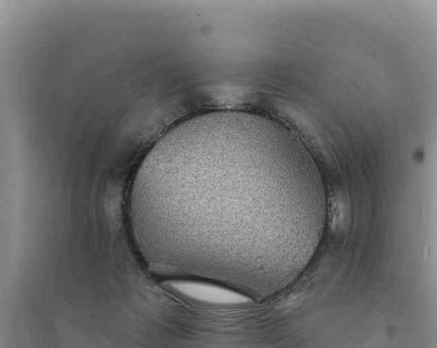 X0000094350221200711091500