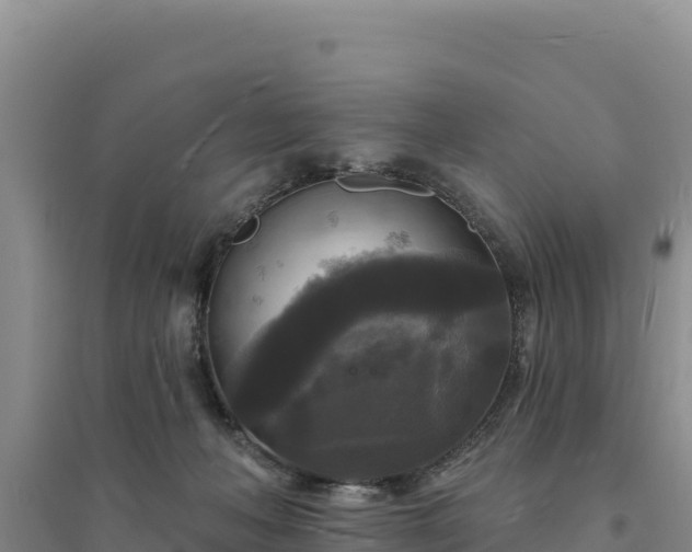 X0000094350222200711091500