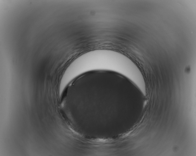 X0000094350224200711091459