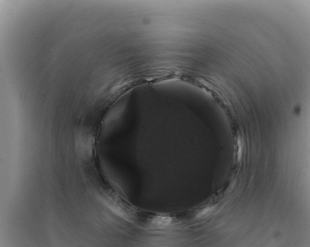 X0000094350227200711091459