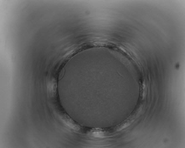 X0000094350228200711091459