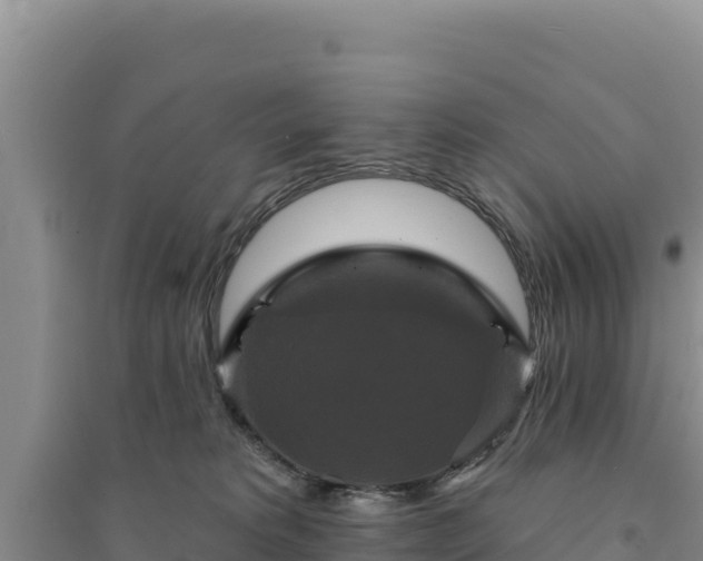 X0000094350229200711091459