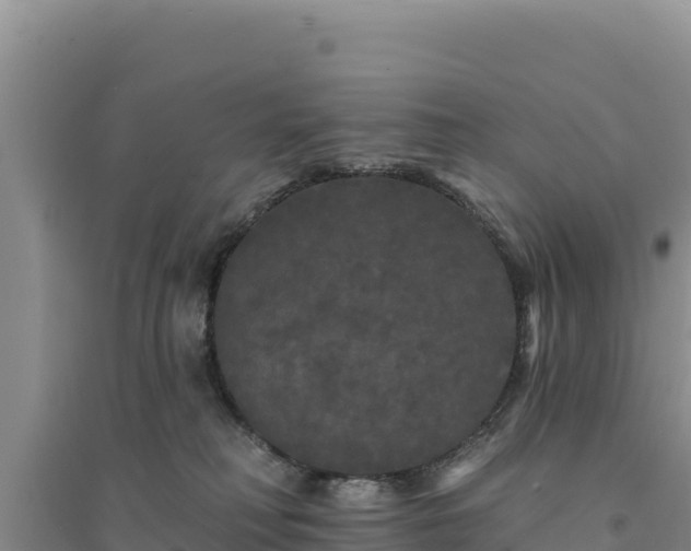 X0000094350230200711091459