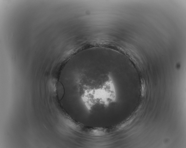 X0000094350232200711091459