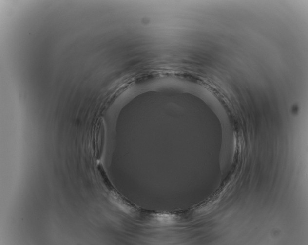 X0000094350233200711091459