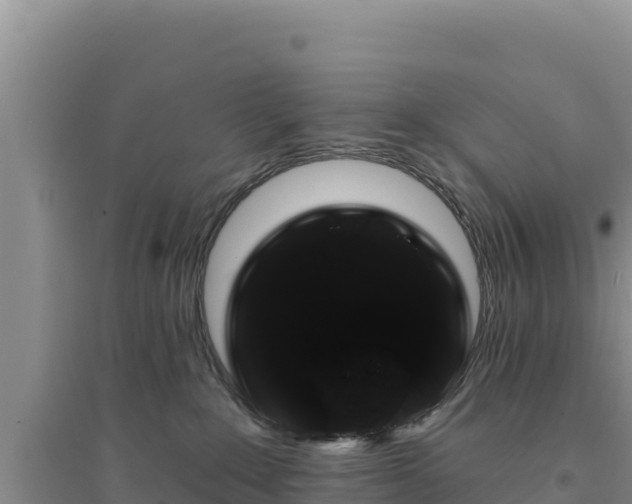 X0000094350235200711091459