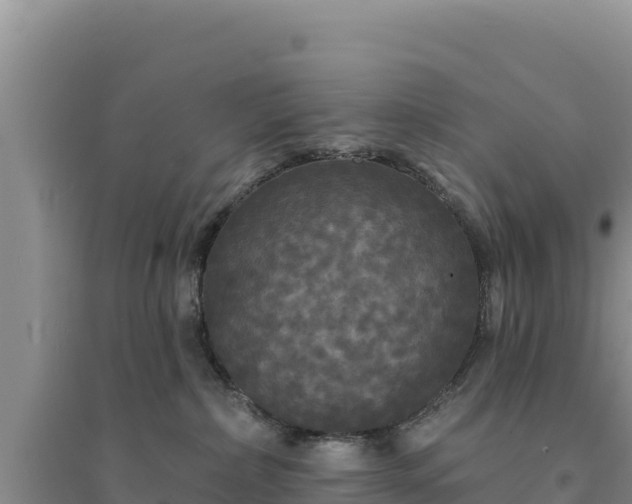 X0000094350236200711091459