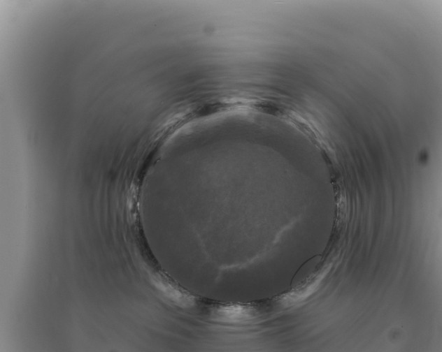 X0000094350237200711091459