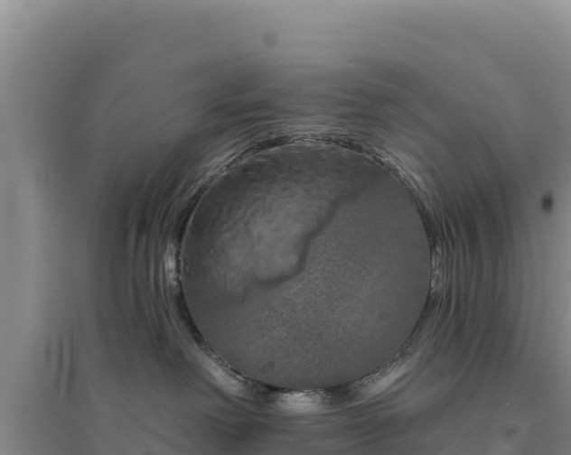 X0000094350238200711091459