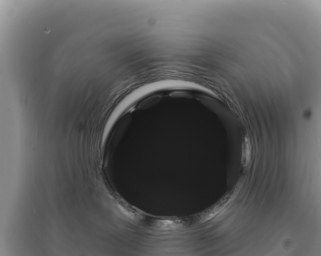 X0000094350239200711091459