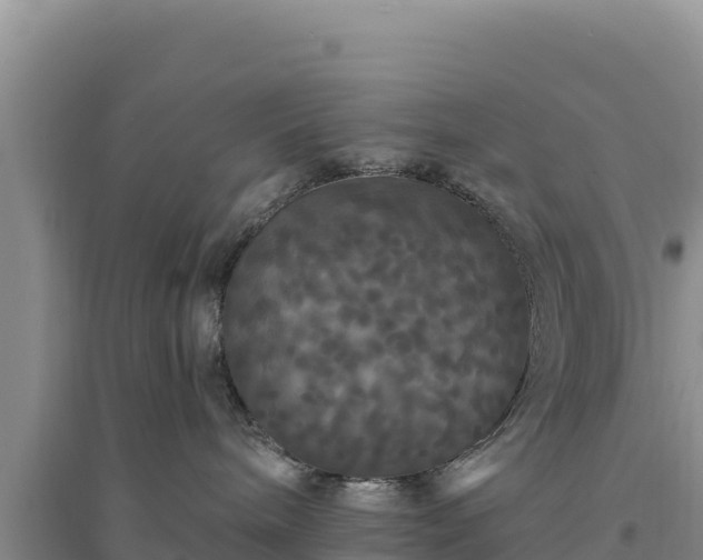 X0000094350240200711091459