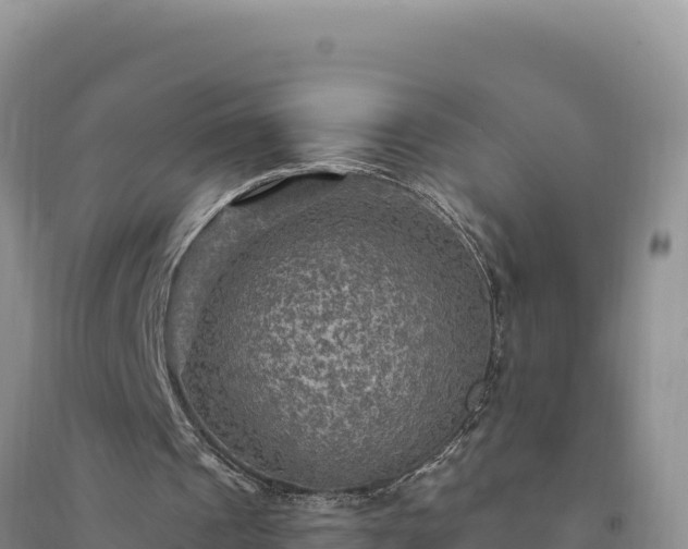 X0000094350241200711091459