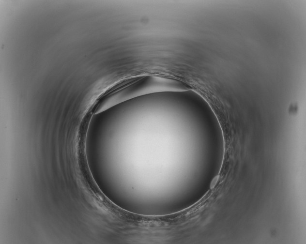 X0000094350242200711091459